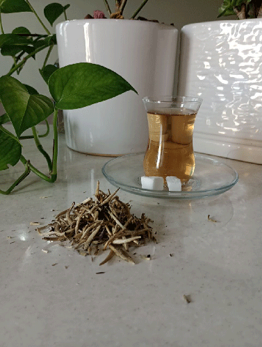 photo_2024-04-22_06-54-22-(2) خرید چای سفید