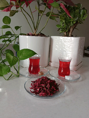 photo_2024-04-22_06-54-22 خرید چای قرمز